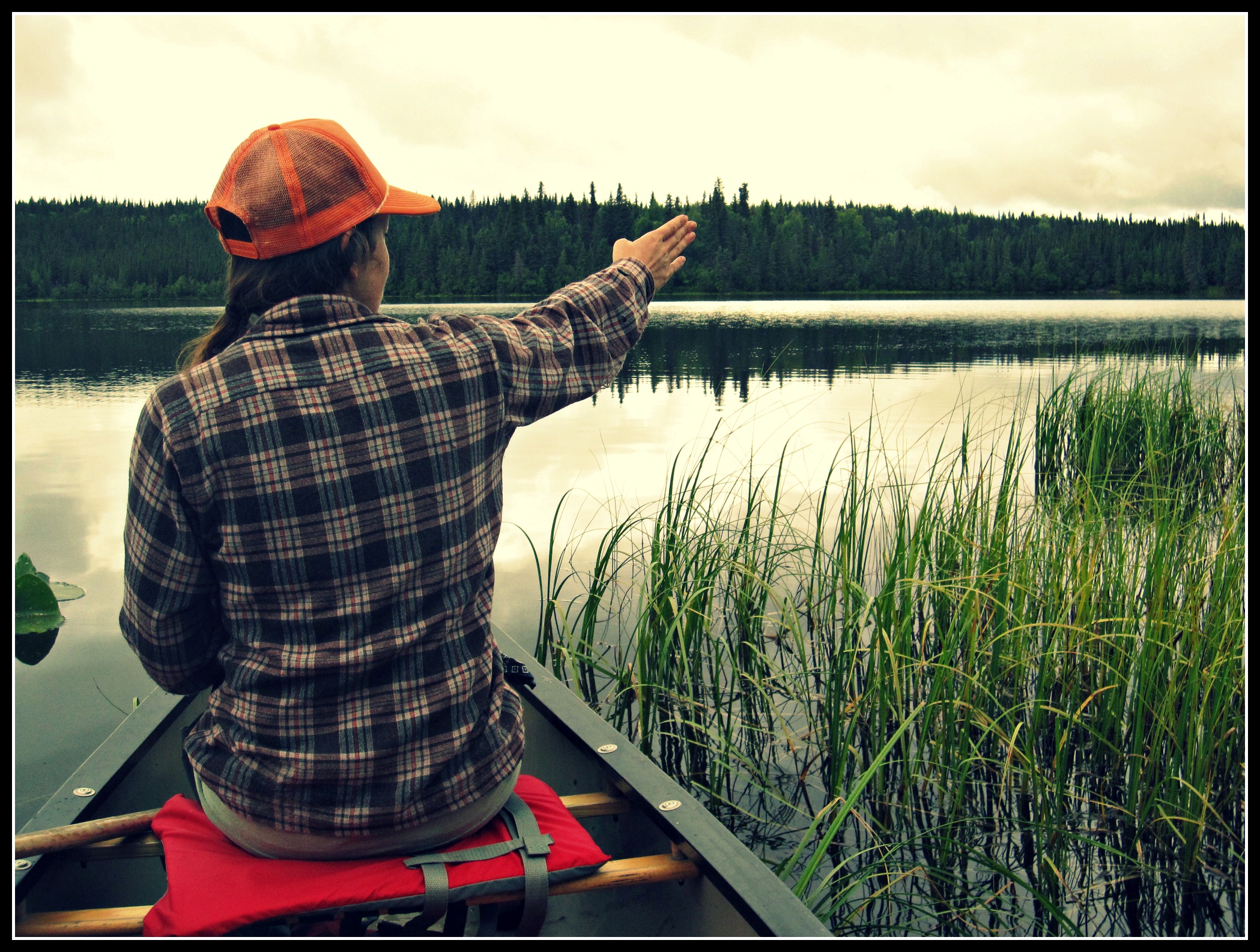 Searching for Meaning