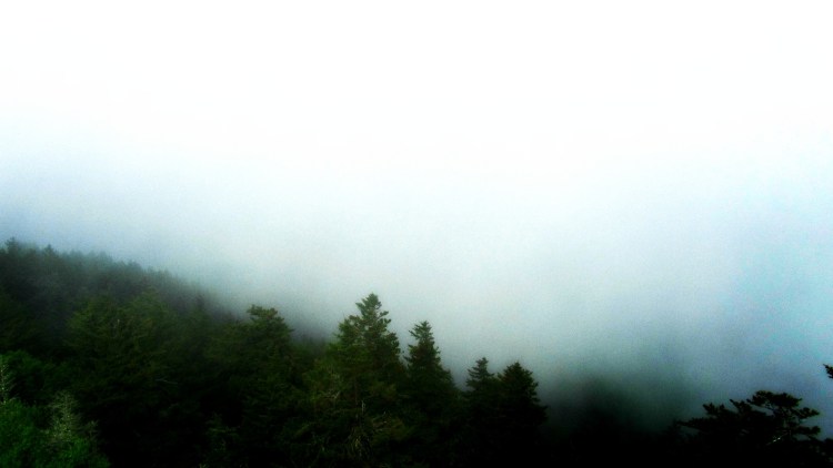 Surviving the Situation