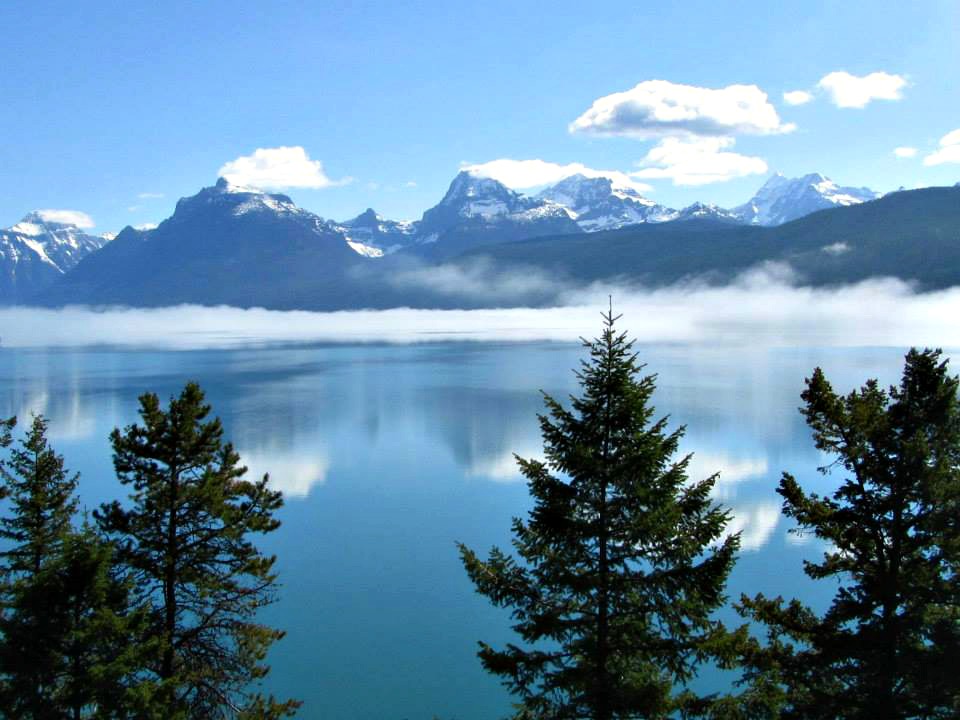 A Visit to Chrysalis